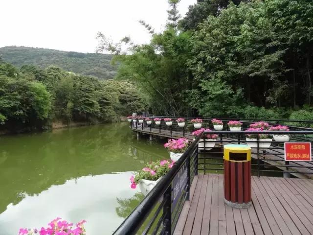 广东最美公路就在深圳！一条路，两边都是海！