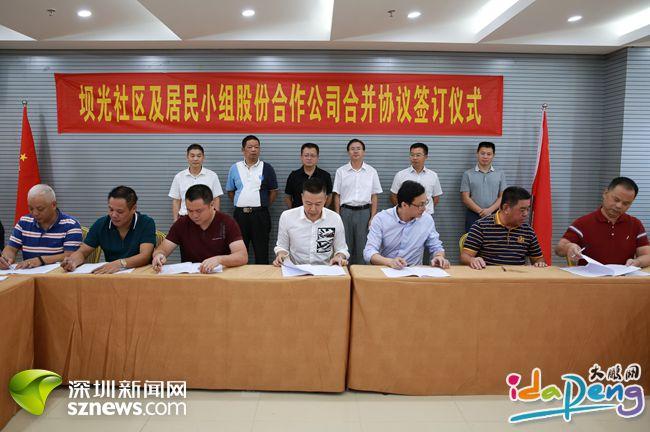 葵涌股份合作公司整合合并工作取得阶段性成果