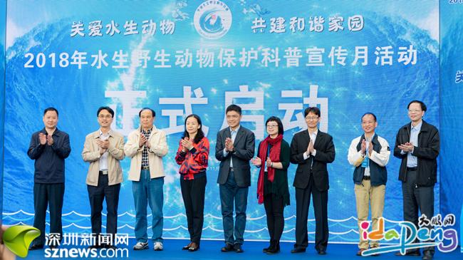 大鹏新区正推进国家级海洋牧场示范区建设