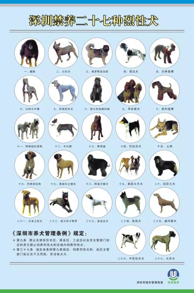 深圳禁养二十七种烈性犬